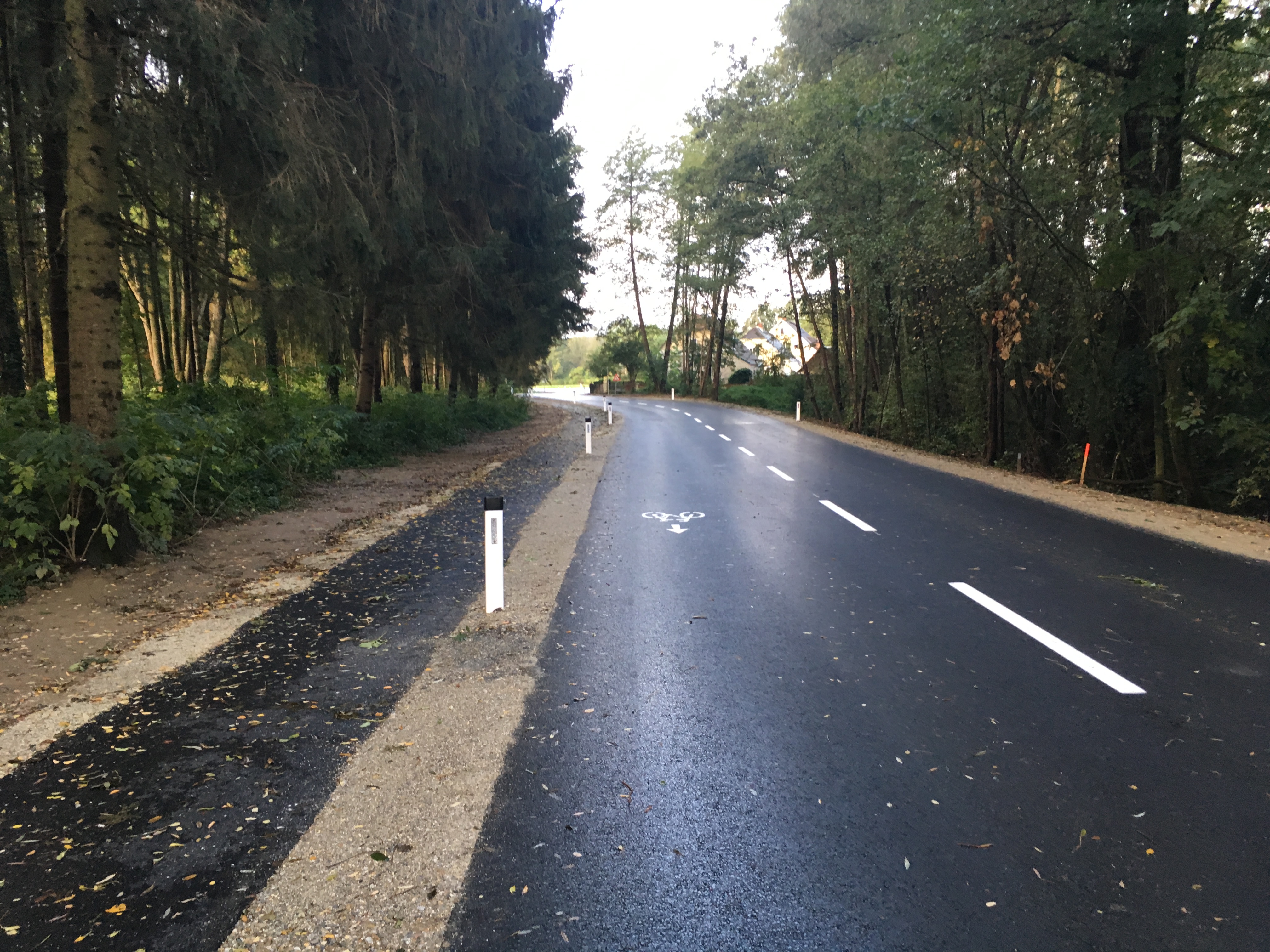 Torteichstraße, Neudau - Edilizia stradale e costruzione di ponti