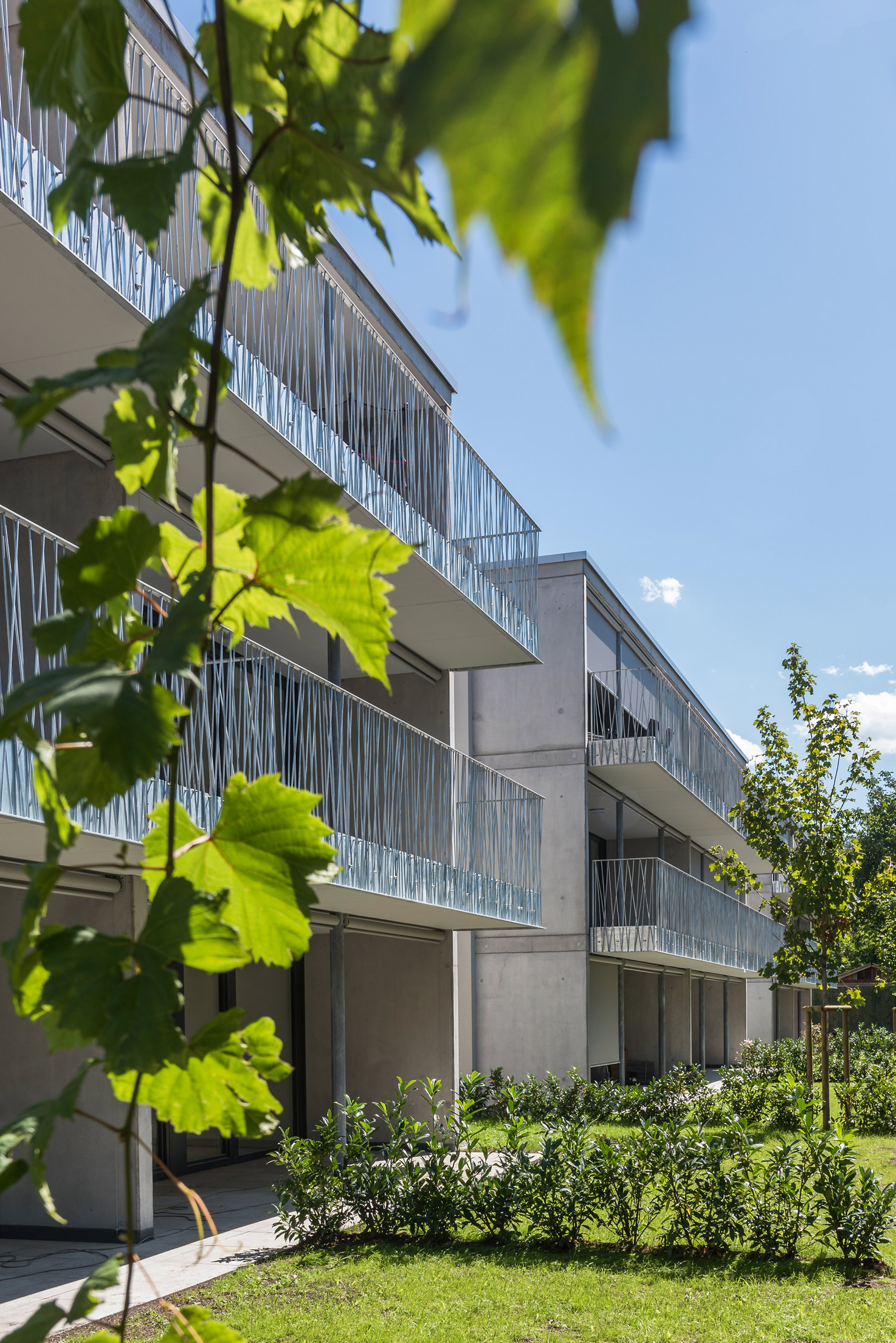 Wohnbau, Bifangstraße, Feldkirch - Costruzione edilizia