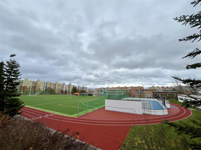 Rekonstrukce sportovního areálu ZŠ, ul. Kralovická, Plzeň - Competenze speciali