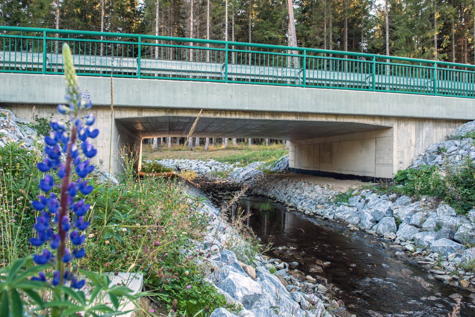 Zadní Zvonková – modernizace přístupu k hraničnímu přechodu CZ/AT - Edilizia stradale e costruzione di ponti