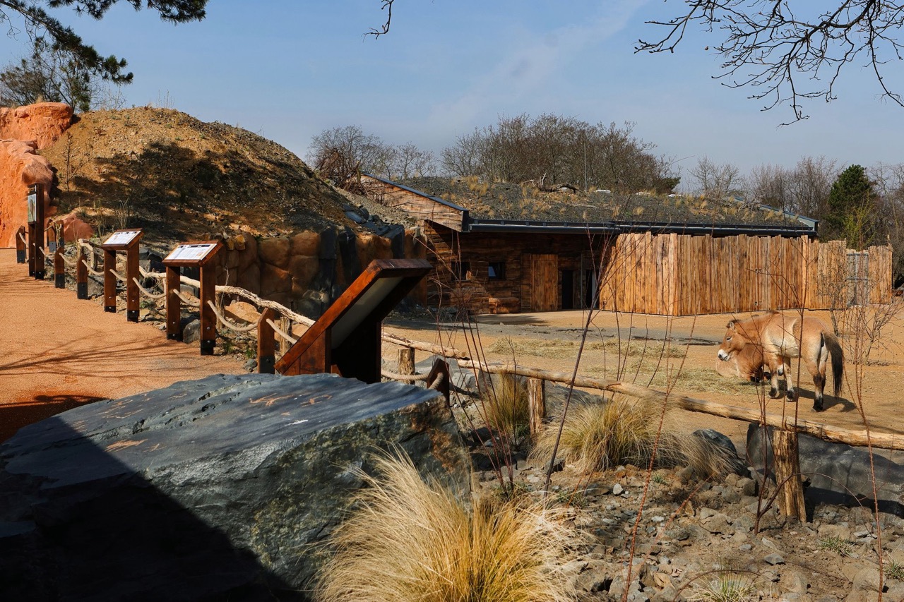 Zoo Praha – výběhy a stáje koní Převalského, pavilon drobných savců a plazů, voliéry manula - Costruzione edilizia