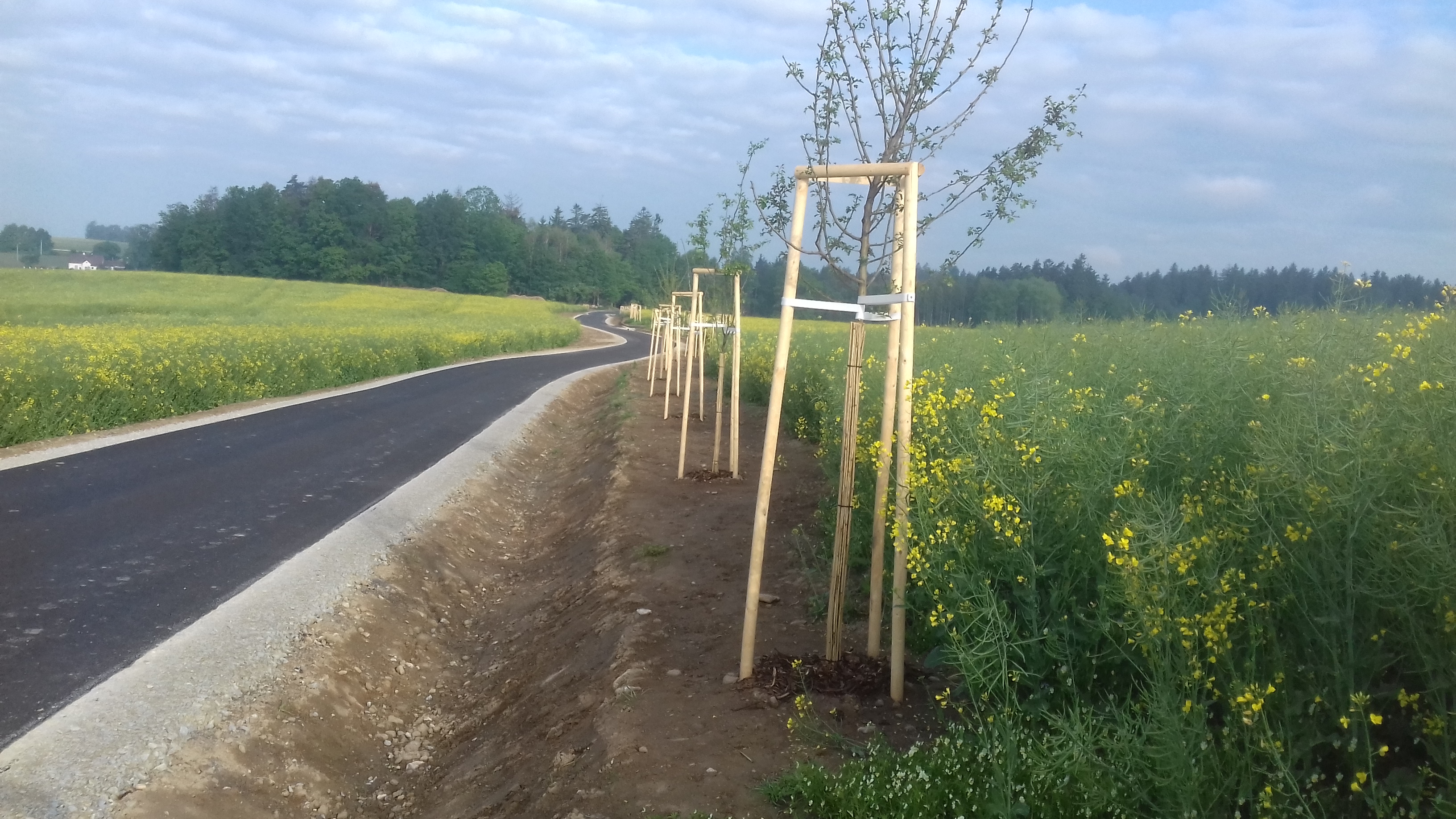 Cyklostezka – propojení katastrálních území Matná–Buk         - Edilizia stradale e costruzione di ponti